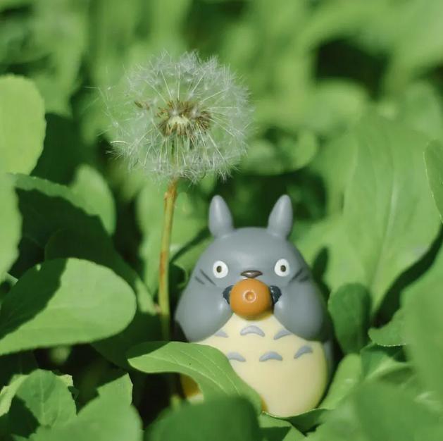 龙猫这部电影告诉我们什么,龙猫深度解析动画电影