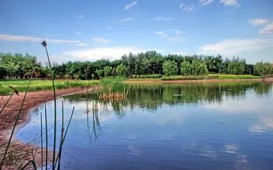 北京清明踏青旅游攻略,北京适合清明游玩的公园