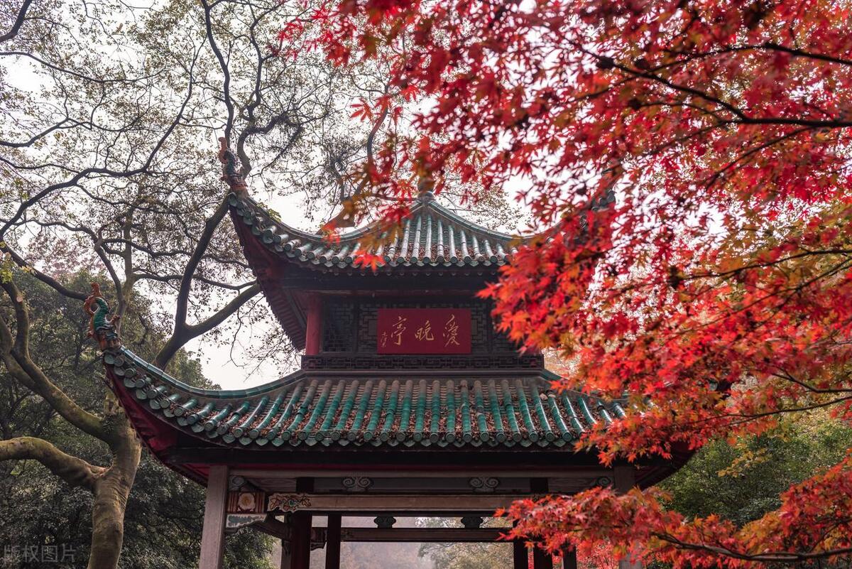 在长沙旅游可以打卡哪个旅游景点,湖南长沙有什么好玩的旅游景点