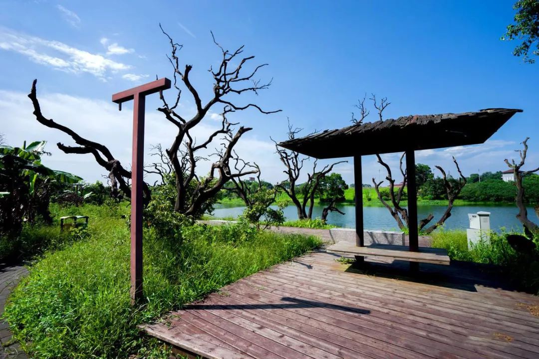 广州鹤之洲湿地公园游玩攻略简介,增城凤凰古城一日游最佳去处