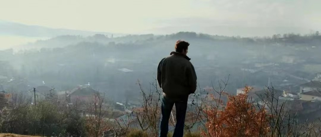 野梨树完整版免费观看,关于野梨树的电影