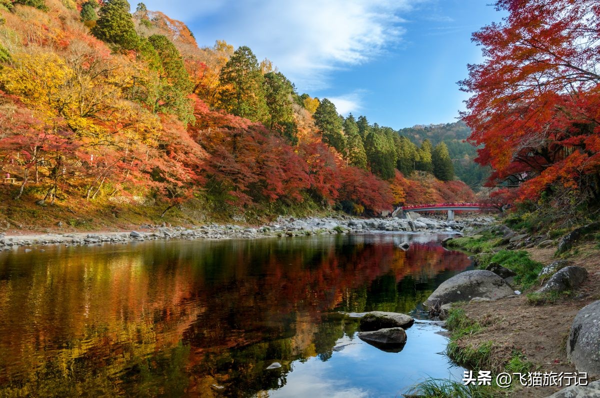 日本旅行小众路线,日本升龙道高山旅游