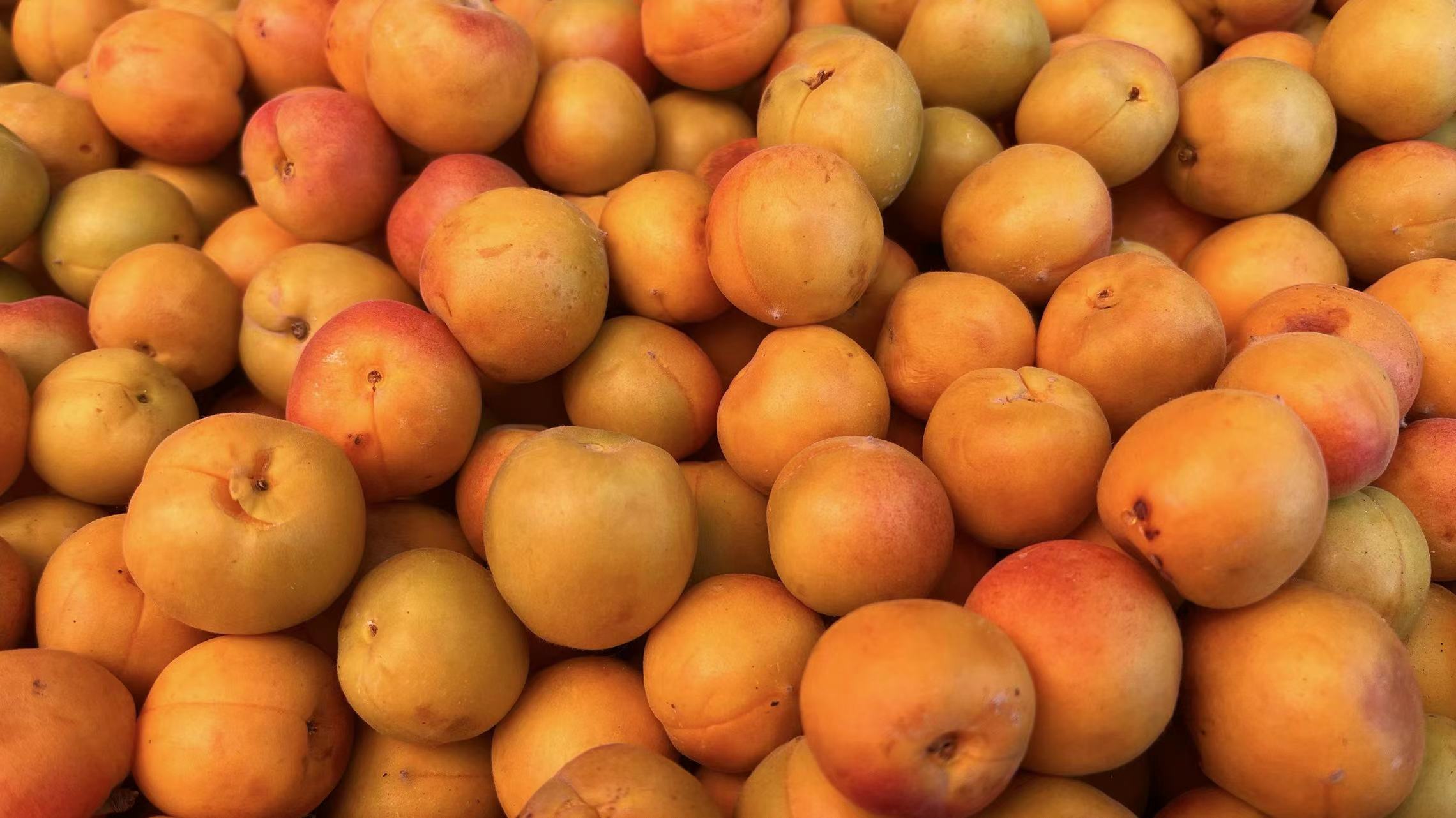 伊犁新丝路美食,伊宁市新开美食