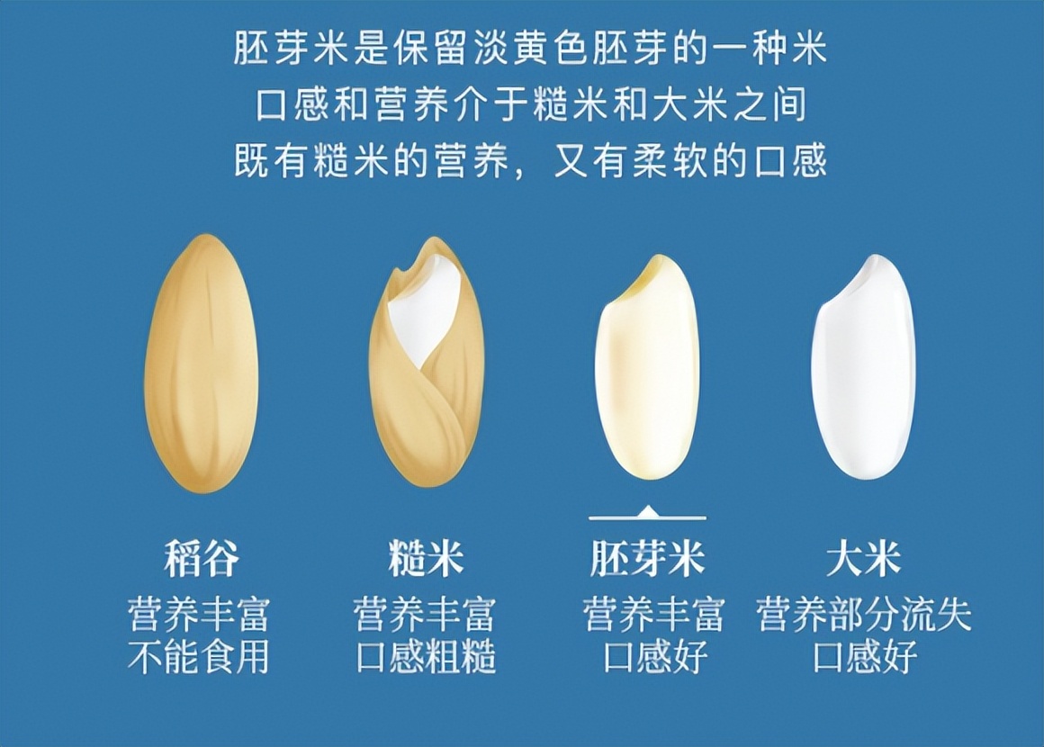 现在赚钱的创业项目,现在创业有什么好项目