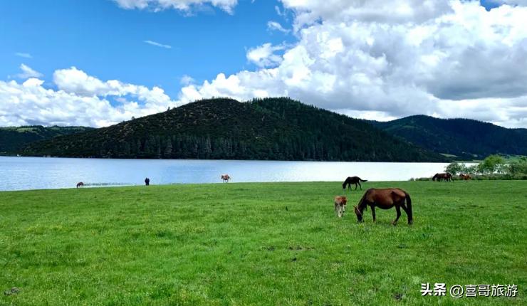 云南旅游必去的景点图片欣赏一下,云南旅游必去的景点及价格