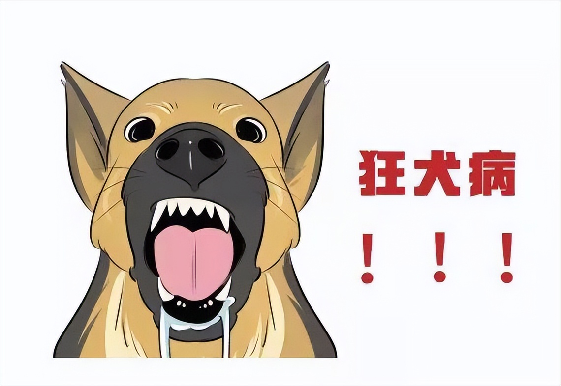 狗狗狂犬病有什么征兆,狗狗有狂犬病会出现哪几种表现