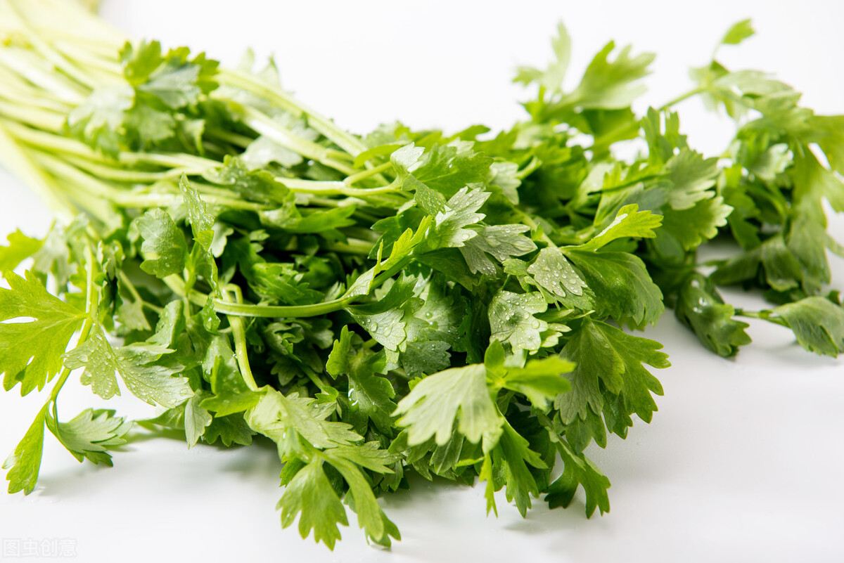 这5种绿叶菜，比牛奶含钙高，每天吃一把，全家老小钙都补足了