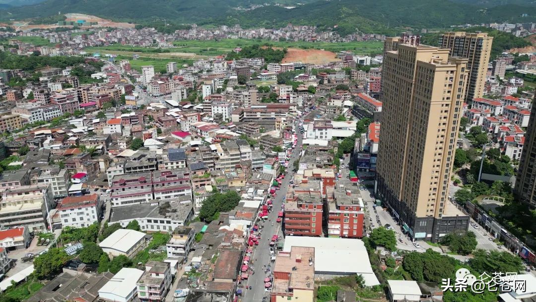 仑苍镇出租房,仑苍镇房屋出租信息