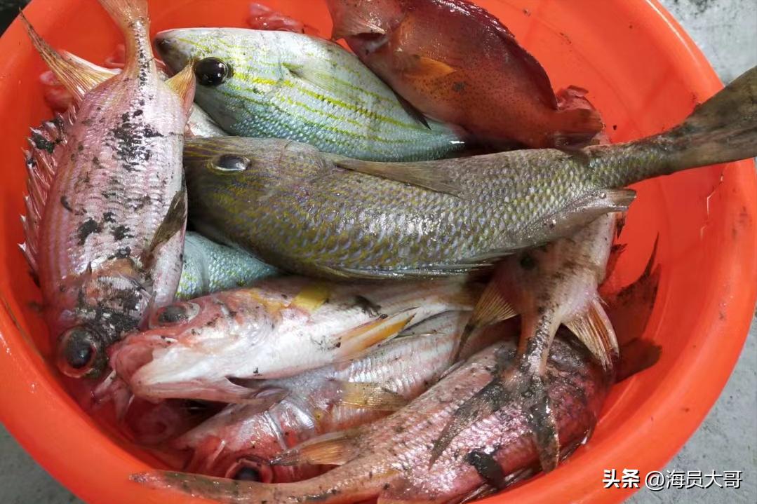 运11万吨粮食去加纳，2天装18天卸，船员半夜值班被抓，数罪并罚