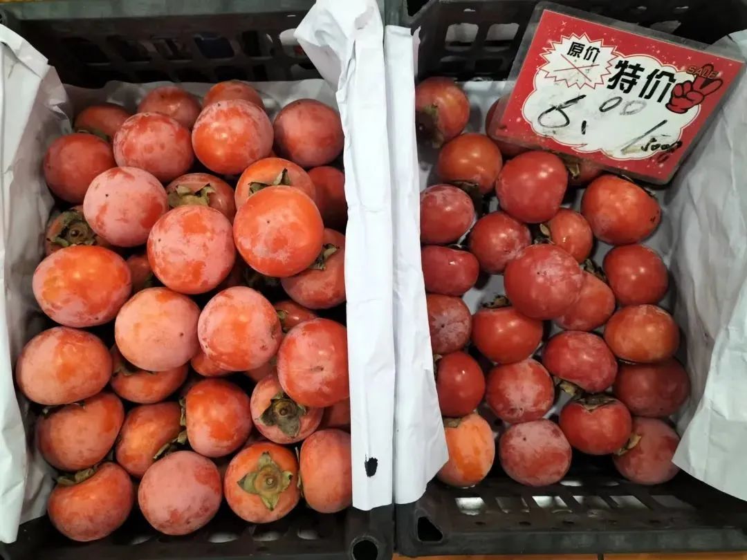 金秋沙糖橘子成熟是什么样的,金秋沙糖桔是甜的还是酸的