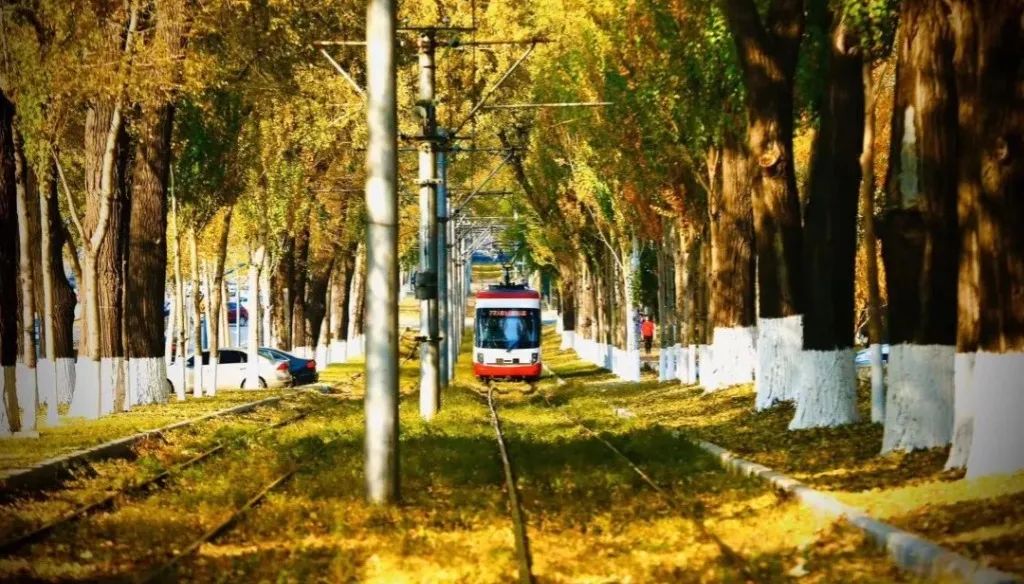 在长春上大学,太爽了吧!