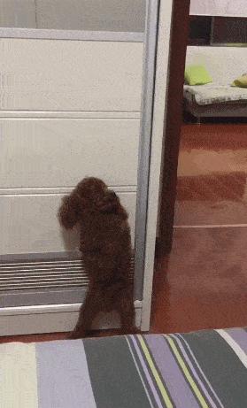 女友今年都二十三了，还是这样，是不是没救了哈哈哈好尴尬