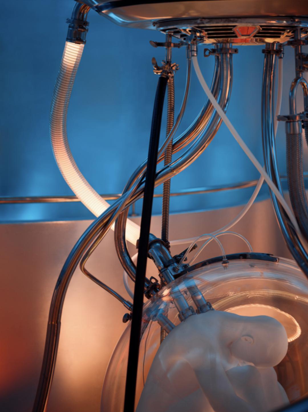 特别策划拯救,特别策划完整视频