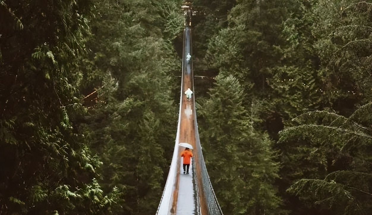十二星座中最厉害的是天蝎跟摩羯,12星座的秘密摩羯天蝎