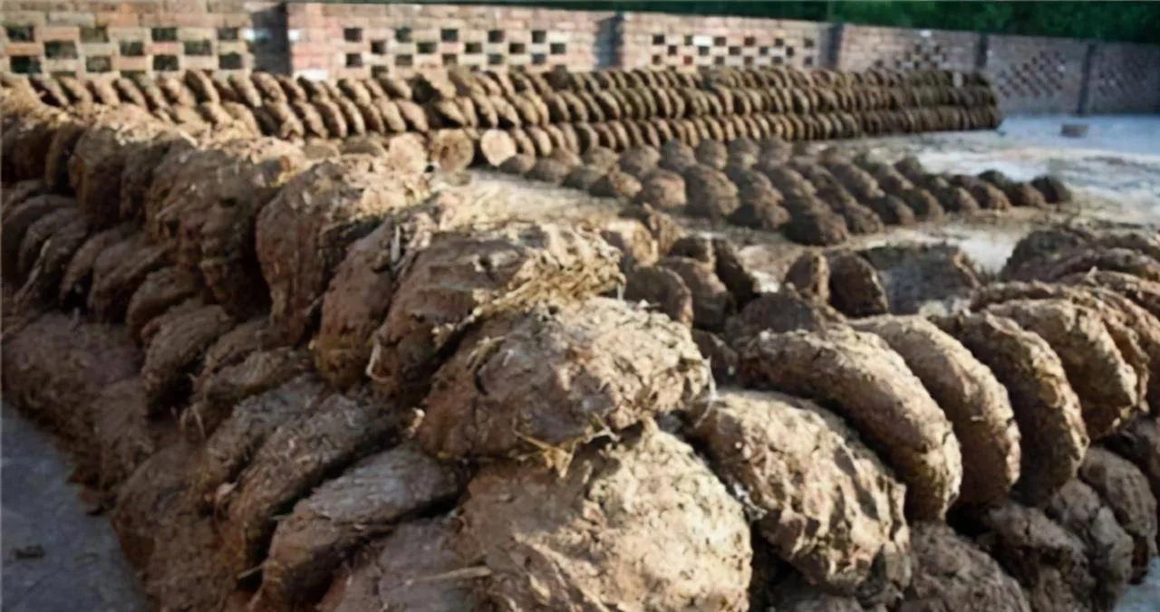 鍥藉榛戞殫缇庨鏂欑悊,鍥藉10閬撲护浜哄穿婧冪殑榛戞殫鏂欑悊