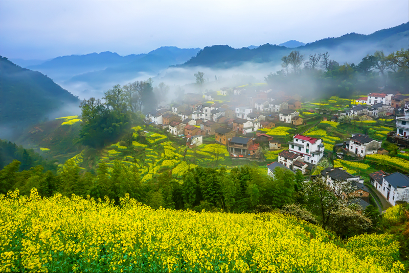 春色满园风景摄影,婺源摄影写真