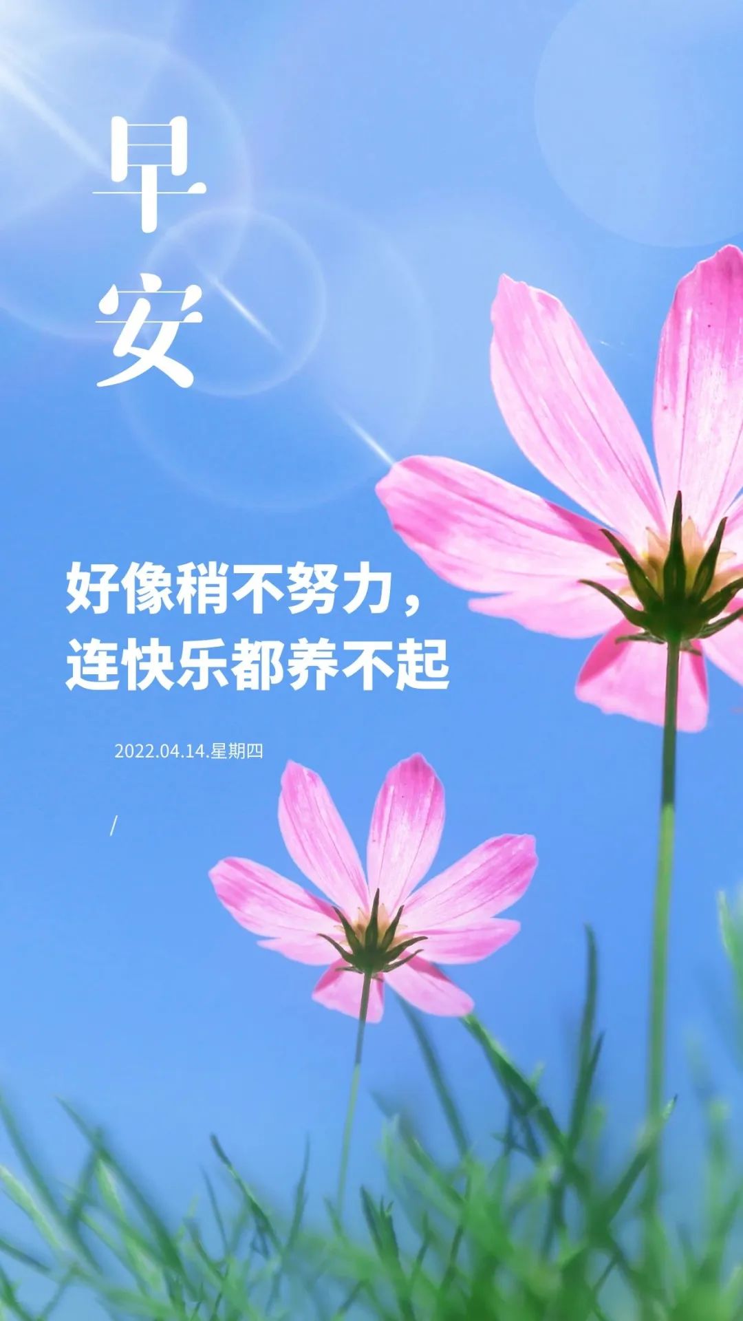 2020早安心语正能量简单一句话,早安心语经典语录简短图片