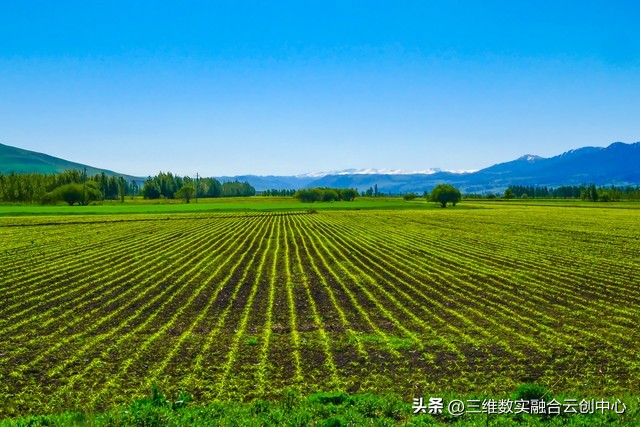 农业发展重点突破,农业创新发展模式