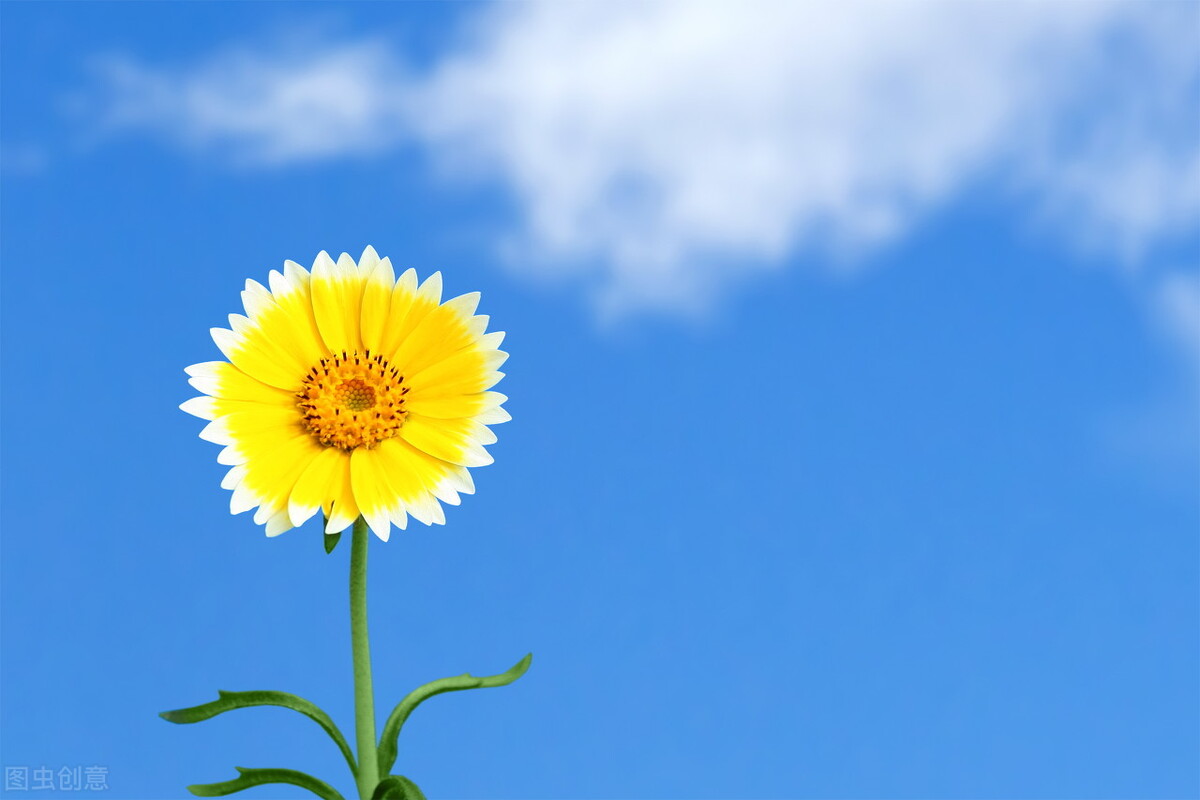 影像科医生肺小结节,影像科医生对肺结节的描述