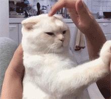 一抓头皮指甲里就有白泥怎么办,头皮一抓指甲里都是白泥