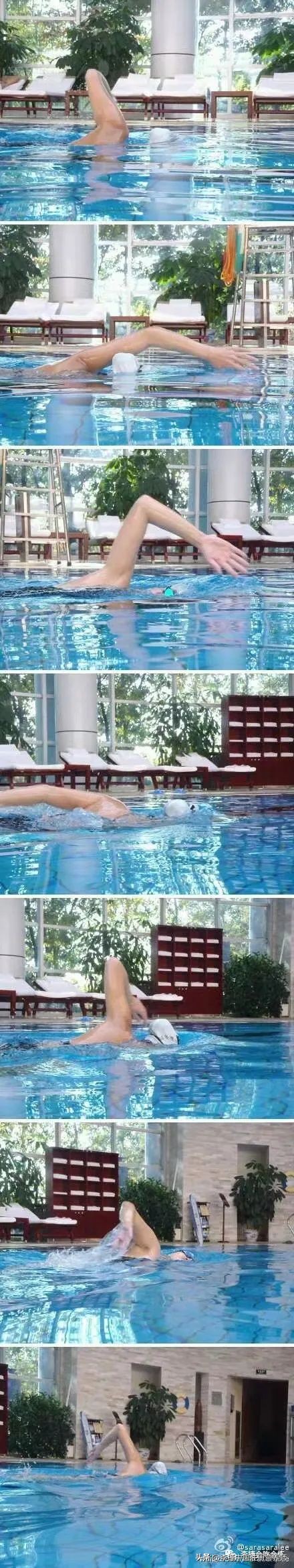 自由泳视频教学慢镜头,自由泳视频自学