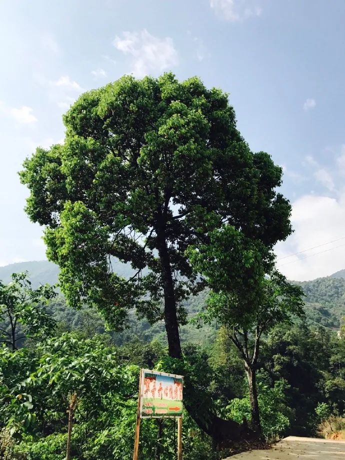 德昌的好地方,德昌有哪些值得去的