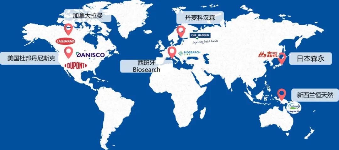 益存生物|明星菌株介绍：鼠李糖乳杆菌HN001