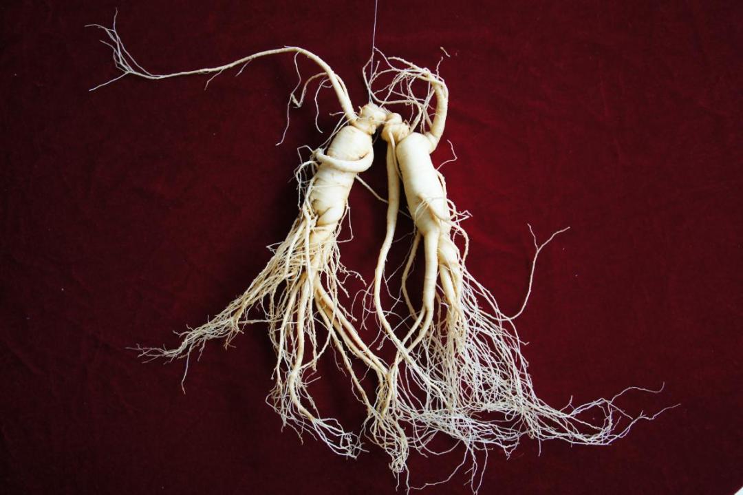 相见恨晚这首歌完整版,原汁原味古色古香的一座小城