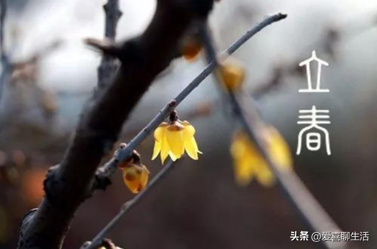 明日立春要“咬春”，春季“6鲜”别忘记咬，助您精神抖擞迎春天