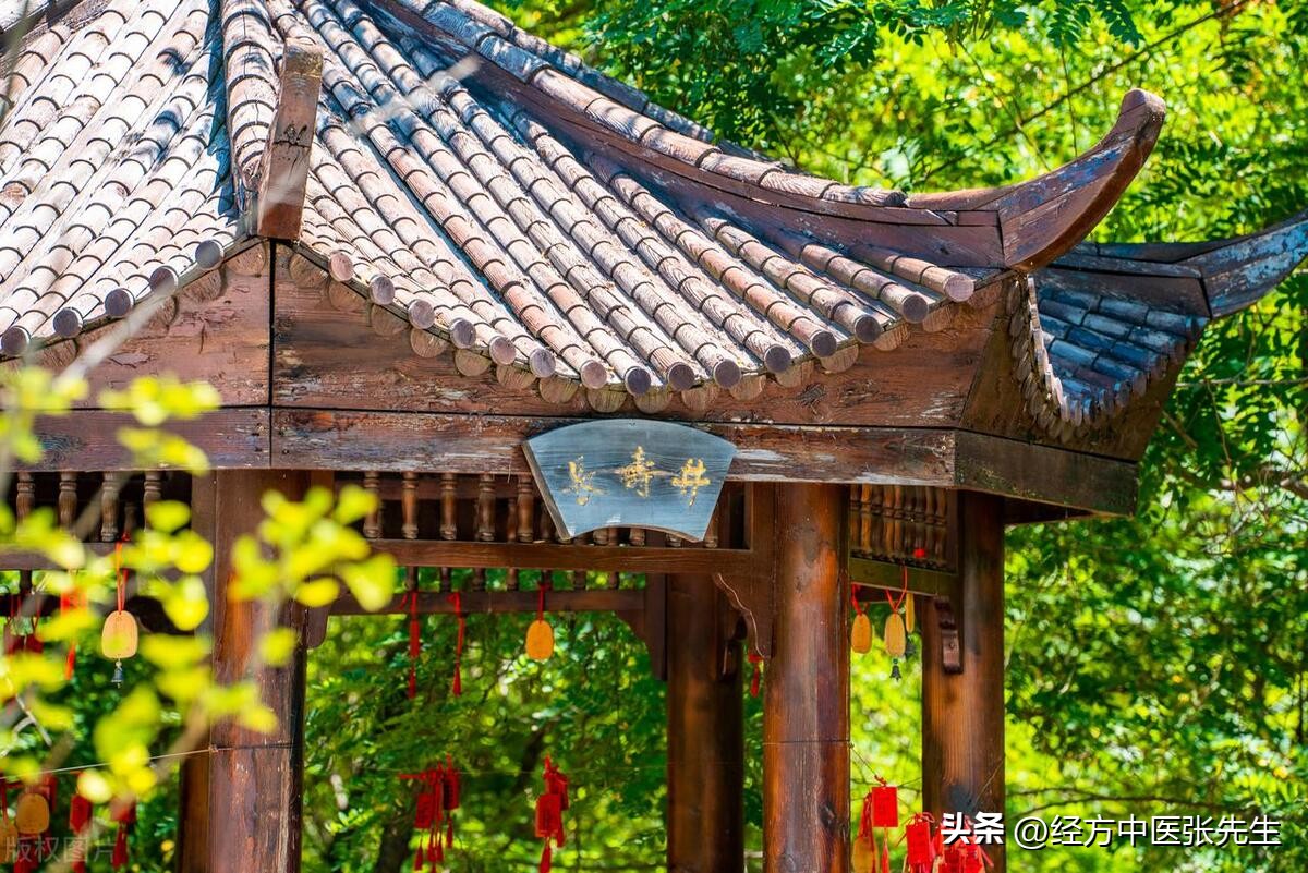 香港长寿中医,香港中医长寿