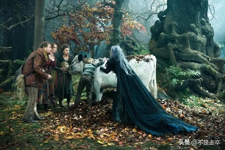 黑暗森林中的奇幻冒险,魔法黑森林看法