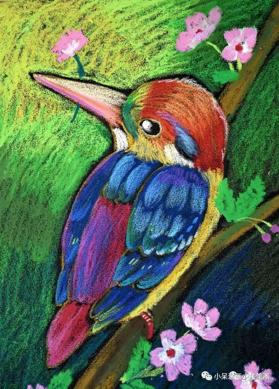 翠鸟生活环境,翠鸟育雏全集完整版