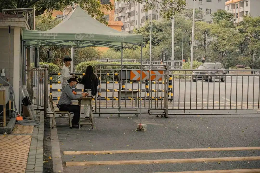 心动警报采访,心动预警作品