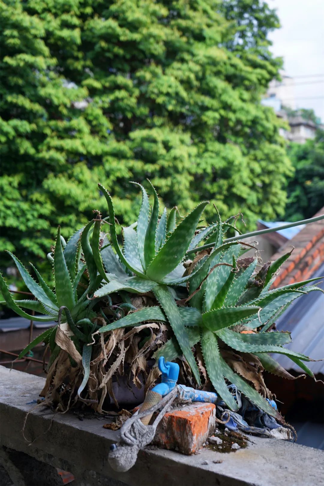 穿越五块石的百米窄巷，打开铁半城的光