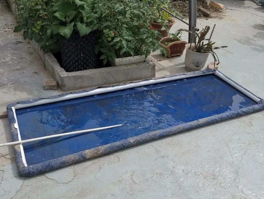 浅池二培,浅池厌氧