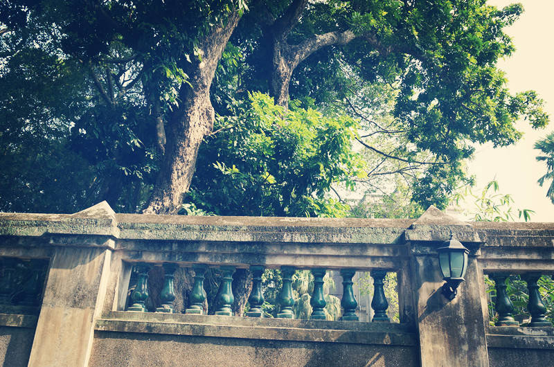 中国大学最顶尖的学科名单公布,学科优势不输于清华北大的大学