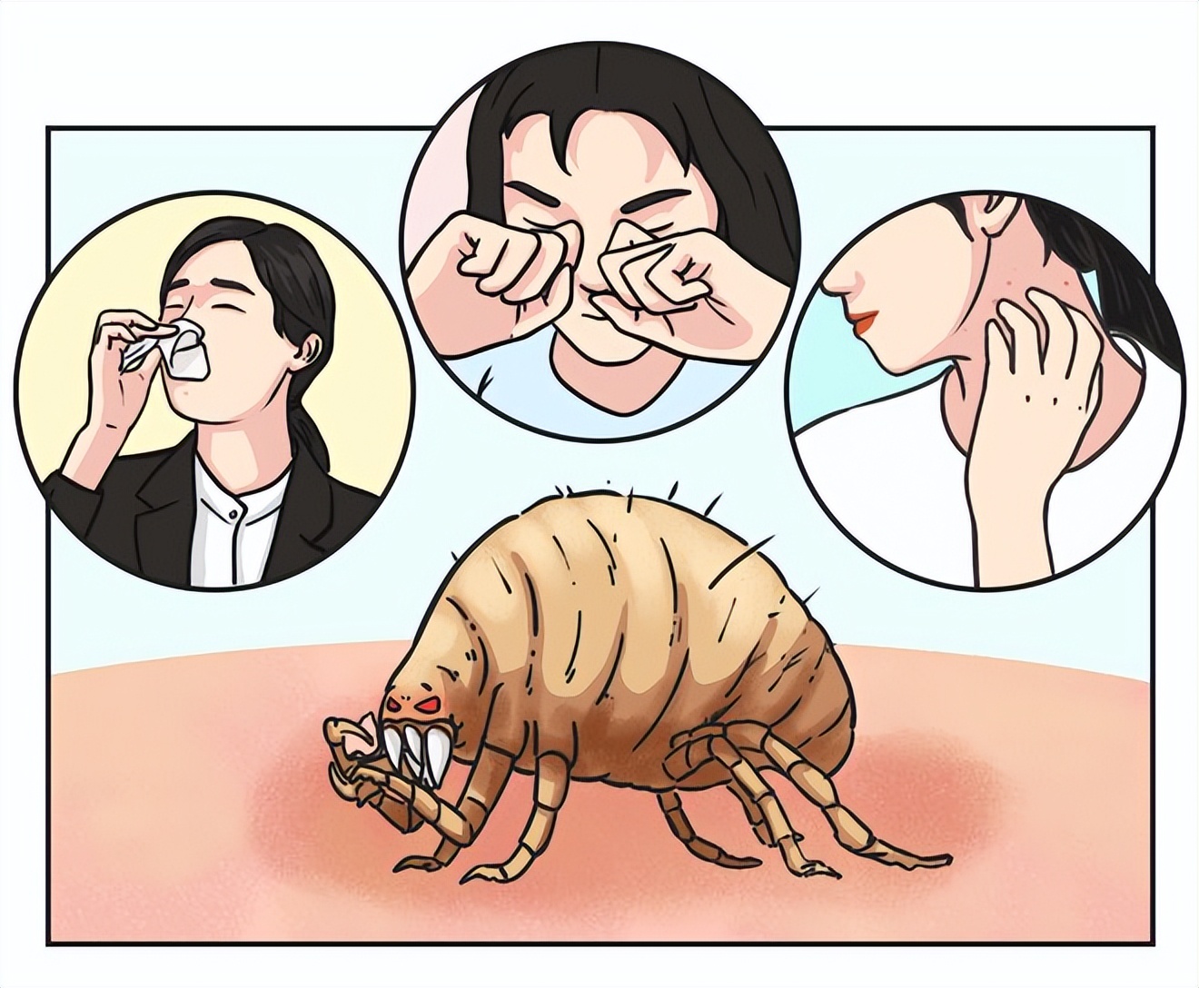 阴雨天怎么除螨虫,下雨天怎么杀死床单的螨虫