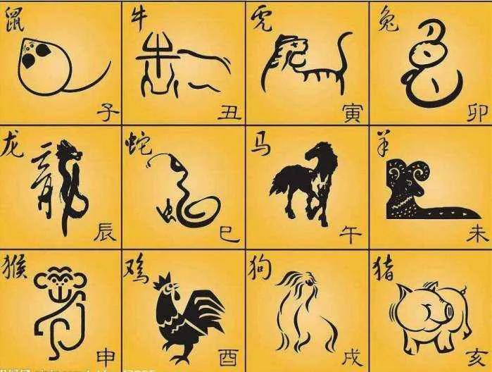 为什么都是狮子守门口老虎堂中坐,为什么狮子坐门口老虎坐中堂