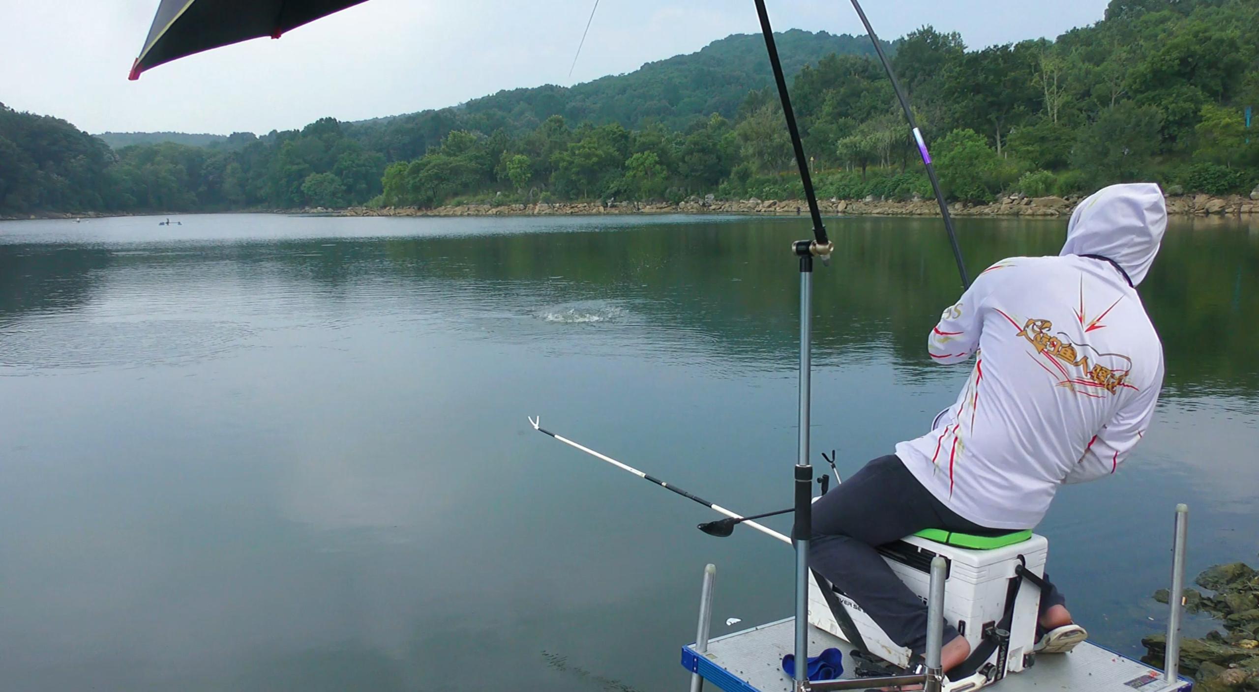 水里有鱼但不咬钩怎么办,水里有小虫子就钓不到鱼怎么回事