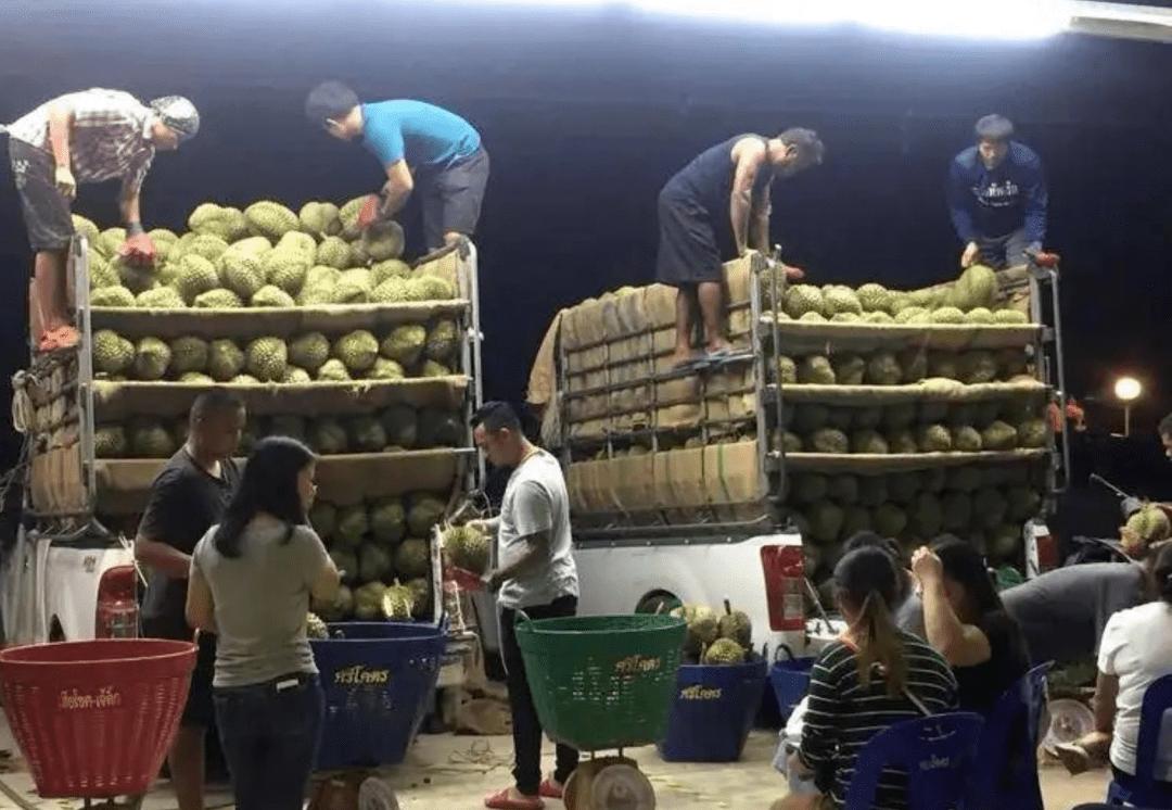 一斤榴莲能赚多少钱,路边榴莲能赚多少钱