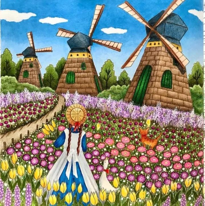 100幅初学者彩铅画花卉,100张新手彩铅临摹图片