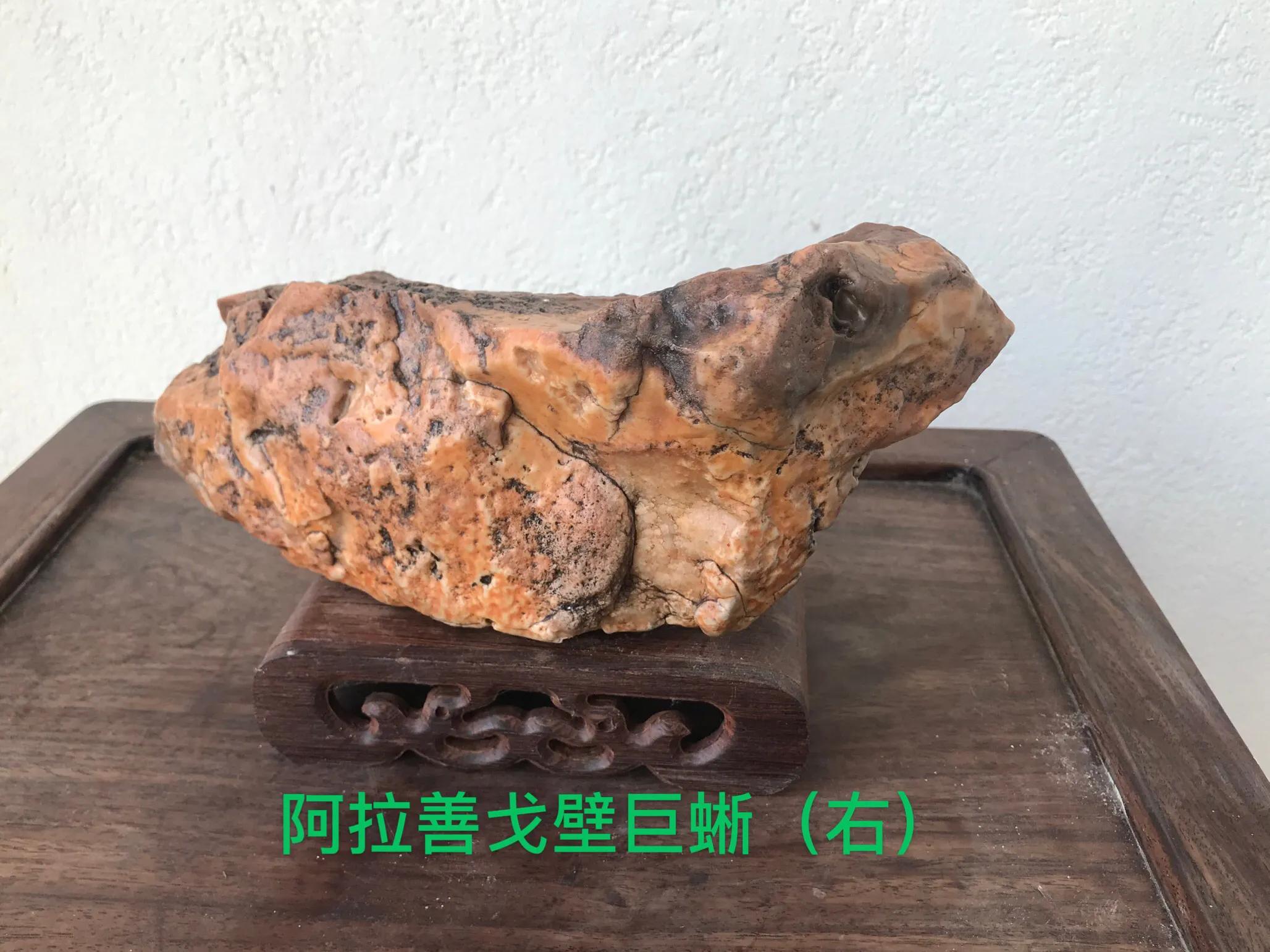 阿拉善捡戈壁石沙漠漆的具体位置,内蒙古阿拉善戈壁石