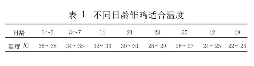 珍珠鸡育雏需要什么条件,育雏珍珠鸡怎么分公母