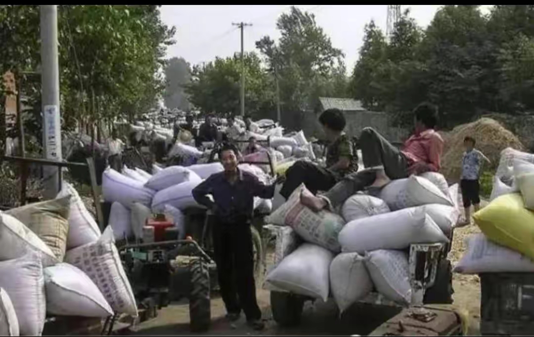 在深圳租一套二手房多少钱,本人在深圳买二手房