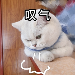 观海杂话铺433|abandon“痛失”单词圈榜首，网友告白：我的青春结束了！