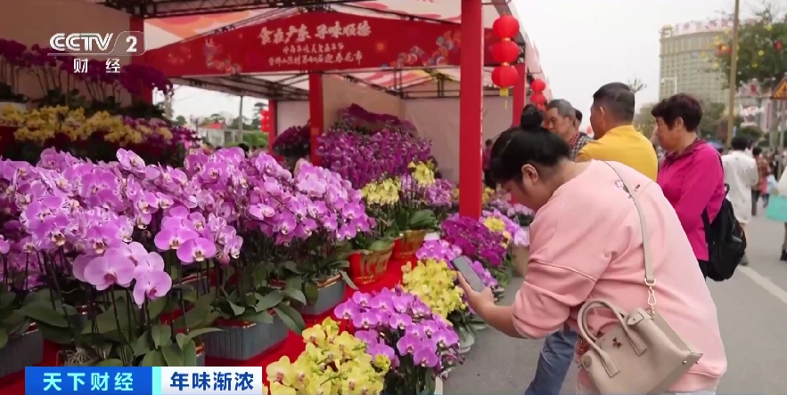 通关便利,通关广交会便捷通关通道启用