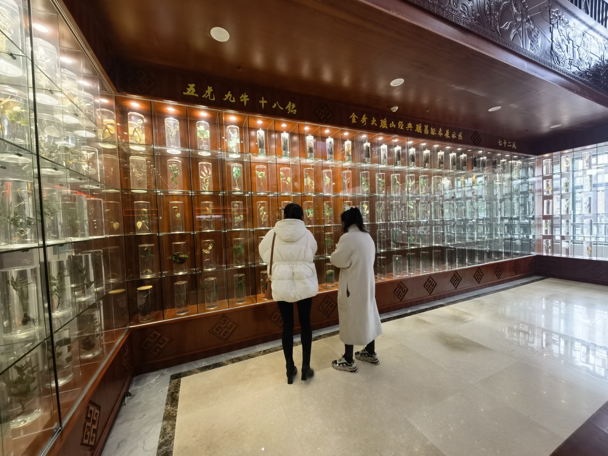 九死还魂草复活的视频,九死还魂草复活