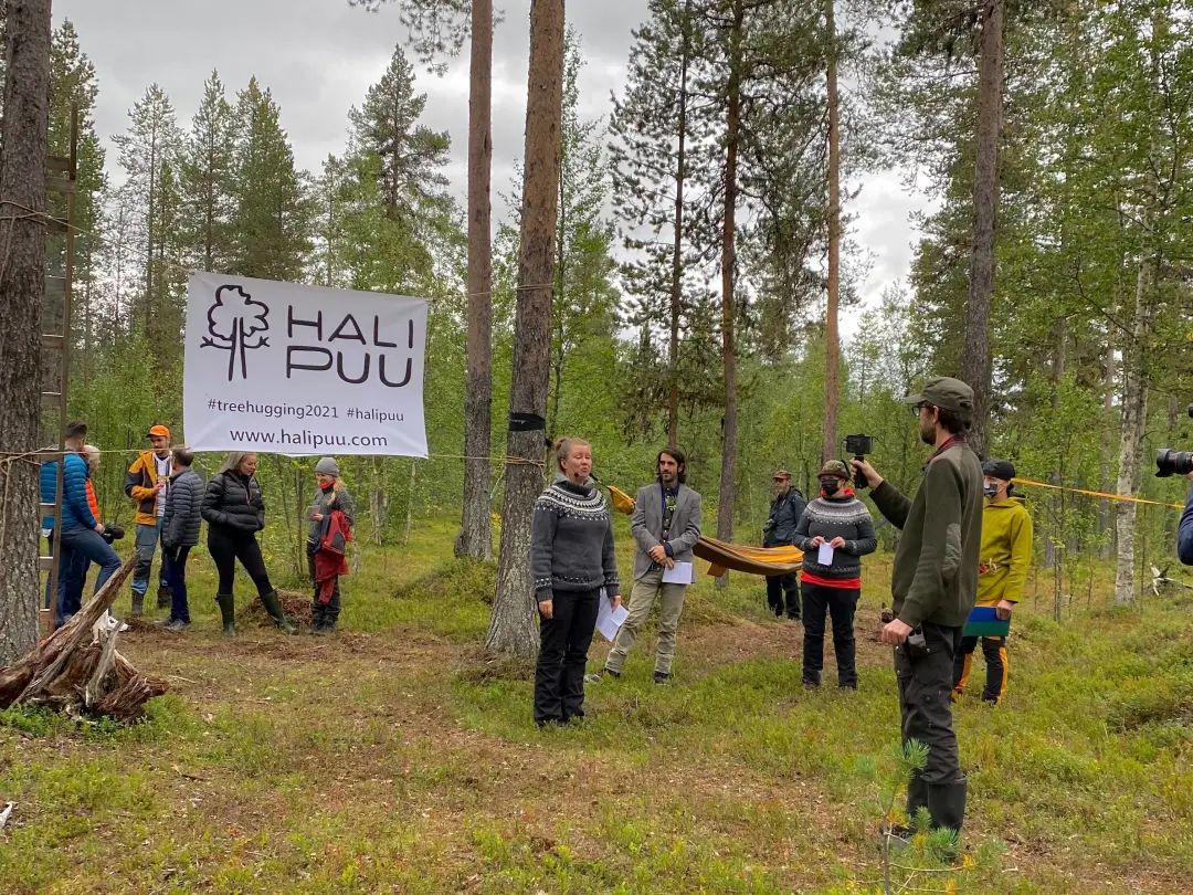谁懂啊！沪上年轻人开始流行“抱树”解压了