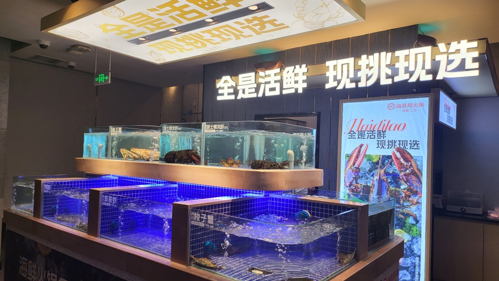 海底捞青岛海鲜,海鲜工坊海底捞
