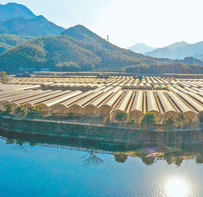 我国有哪四个旅游乡村,我国新增4个旅游村